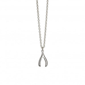 Silver Wishbone Necklace