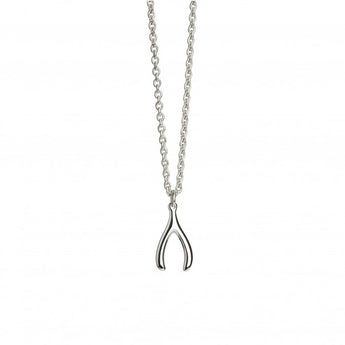 Silver Wishbone Necklace