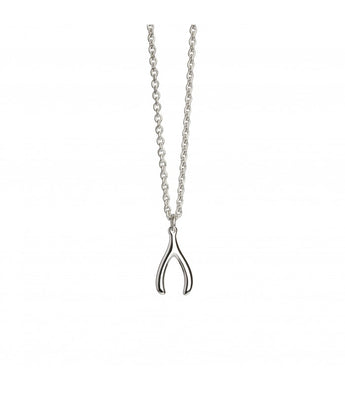 Silver Wishbone Necklace